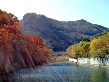 新澳天天开奖资料大全旅游团，都市言情小说吧